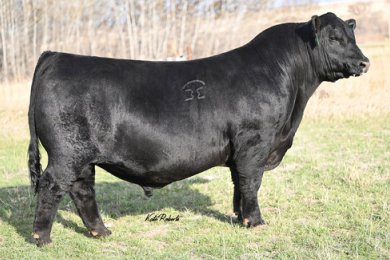 Basin True Balance 4002