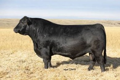 EXAR Cover The Bases 0819B