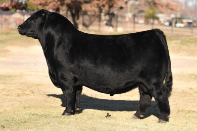 MC TSSC Outkast 2095