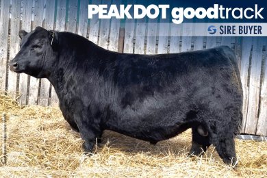 Peak Dot GoodTrack 76M