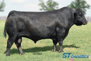 S A V Cattlemaster 4873