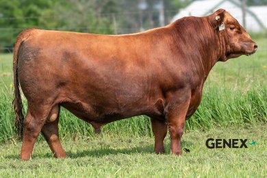 5L Life Is Good 722-40M