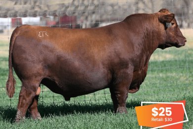 Brown Reverend L156