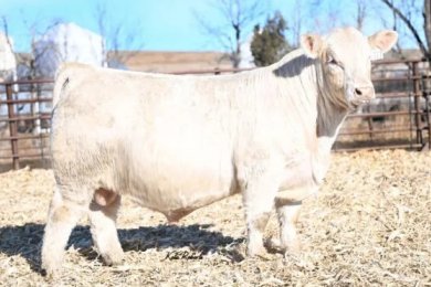 LT Global 3322 PLD ET