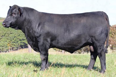 Bennett D922