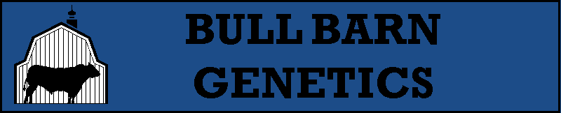 Bull Barn Genetics