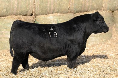 2/F JWC Unassisted 675K