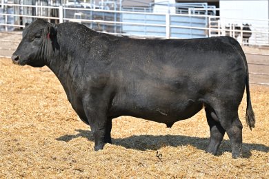 BAS Mega Millions K2801