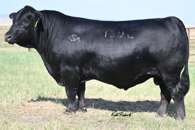 Schooley Legit 139L